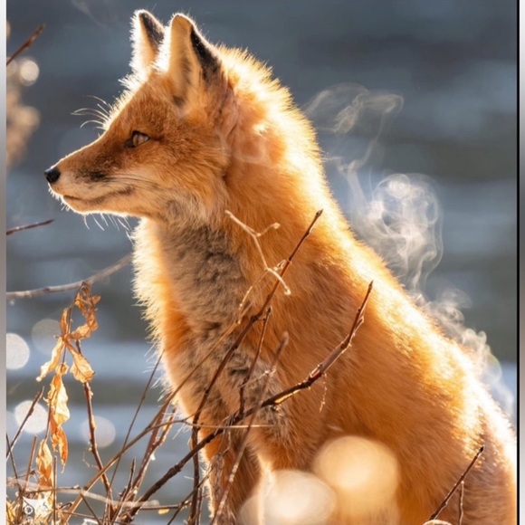 MEET THE POSHERS - Picture 7 of 16